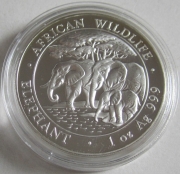 Somalia 100 Shillings 2013 Elefant