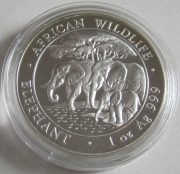 Somalia 100 Shillings 2013 Elephant 1 Oz Silver