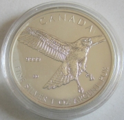 Kanada 5 Dollars 2015 Birds of Prey Rotschwanzbussard