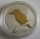Australia 1 Dollar 2007 Kookaburra Gilded 1 Oz Silver