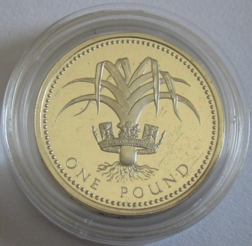 United Kingdom 1 Pound 1990 Wales Leek Silver Proof