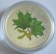 Canada 5 Dollars 2002 Maple Leaf Spring Coloured 1 Oz Silver