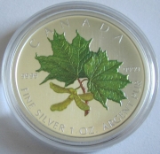 Kanada 5 Dollars 2002 Maple Leaf Frühling Koloriert