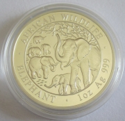 Somalia 100 Shillings 2008 Elefant