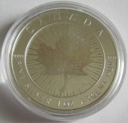 Kanada 5 Dollars 2001 Maple Leaf Hologramm