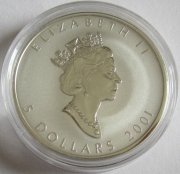 Canada 5 Dollars 2001 Maple Leaf Hologram 1 Oz Silver