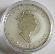 Kanada 5 Dollars 2001 Maple Leaf Hologramm