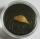 Australien 5 Dollars 2019 Echoes of Fauna Night Parrot