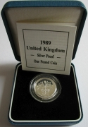 Großbritannien 1 Pound 1989 Schottland Distel PP