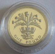 Großbritannien 1 Pound 1989 Schottland Distel PP