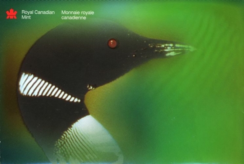 Kanada KMS 2000