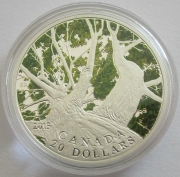 Canada 20 Dollars 2013 Maple Leaf Canopy Spring 1 Oz Silver
