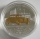 Palau 5 Dollars 2013 125 Years Automobile Mercedes-Benz 300 Silver