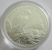 Poland 20 Zlotych 2008 Wildlife Peregrine Falcon Silver