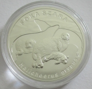 Poland 20 Zlotych 2007 Wildlife Grey Seal Silver