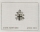 Vatican Coin Set 2000