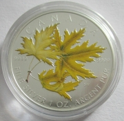 Kanada 5 Dollars 2006 Maple Leaf Summer 1 Oz Silver