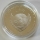 Palau 5 Dollars 2010 Mountains & Flora Mount Vinson Silver