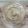China 10 Yuan 2005 Lunar Rooster Blossom 1 Oz Silver