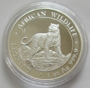 Somalia 100 Shillings 2022 Leopard