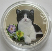 Fiji 50 Cents 2022 Cats House Cat 1 Oz Silver Coloured