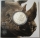 South Africa 5 Rand 2022 Big Five II Rhinoceros 1 Oz Silver