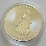 Kanada 5 Dollars 2016 Maple Leaf F15 Privy