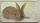 Cook-Islands 1 Dollar 2011 Lunar Rectangular Rabbit Brown 1 Oz Silver