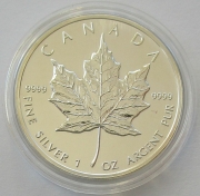Kanada 5 Dollars 2001 Maple Leaf