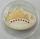 Cook-Inseln 5 Dollars 2008 Weltjugendtag in Sydney