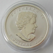 Kanada 5 Dollars 2006 Maple Leaf Lunar Hund Privy