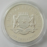 Somalia 100 Shillings 2022 Elefant