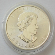 Kanada 5 Dollars 2020 Maple Leaf F15 Privy