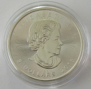 Kanada 5 Dollars 2015 Maple Leaf F15 Privy