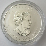 Kanada 20 Dollars 2021 Maple Leaf Super Incuse