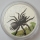 Tuvalu 1 Dollar 2012 Deadly & Dangerous Funnel-Web Spider