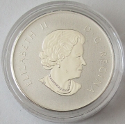 Kanada 10 Dollars 2014 Maple Leaf