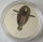 Niue 2 Dollars 2022 Star Wars Boba Fetts Starfighter 1 Oz Silver
