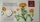 Austria 10 Euro 2022 Flowers Marigold Silver BU