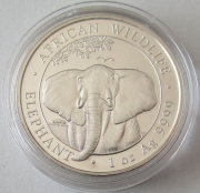Somalia 100 Shillings 2021 Elefant