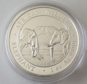 Somalia 100 Shillings 2020 Elefant