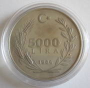 Türkei 5000 Lira 1984 UN Dekade der Frau