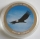 Malawi 10 Kwacha 2010 Wildlife Andean Condor