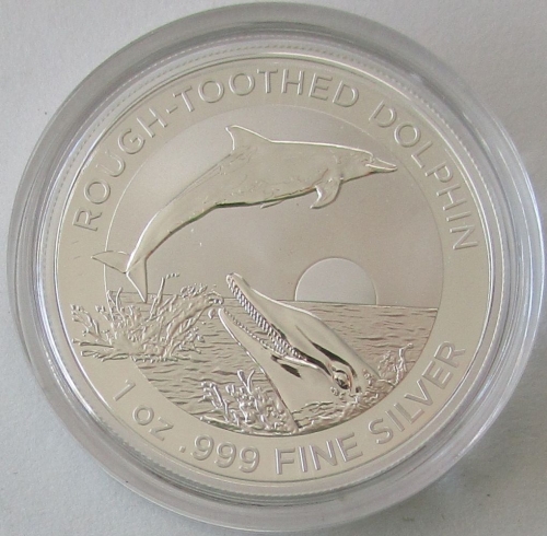 Australien 1 Dollar 2023 Rough-Toothed Dolphin