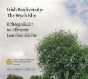 Ireland Coin Set 2025