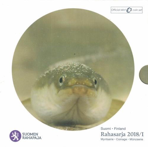 Finnland KMS 2018 Fische der Ostsee Aal