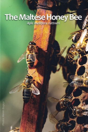 Malta 2 Euro 2024 Maltese Honey Bee BU