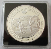 Somalia 100 Shillings 2020 Elefant Rotes Rathaus Privy...