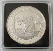 Somalia 100 Shillings 2023 Elefant Skyline Privy ANA...