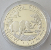 Somalia 100 Shillings 2019 Elefant Lunar Schwein Privy